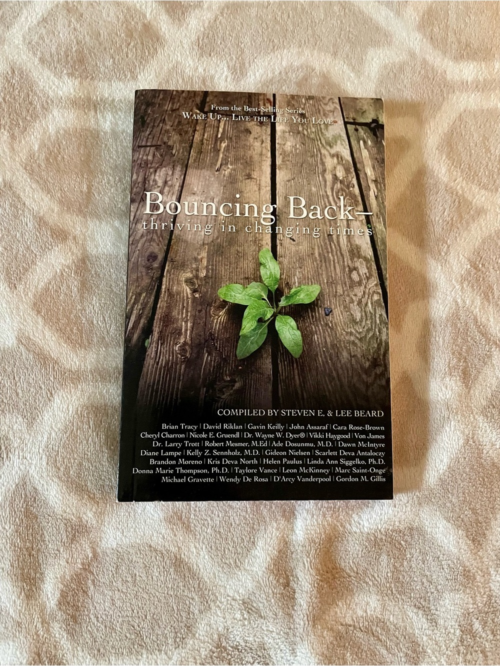 Bouncing Back — Thriving in Changing Times (Paperback)